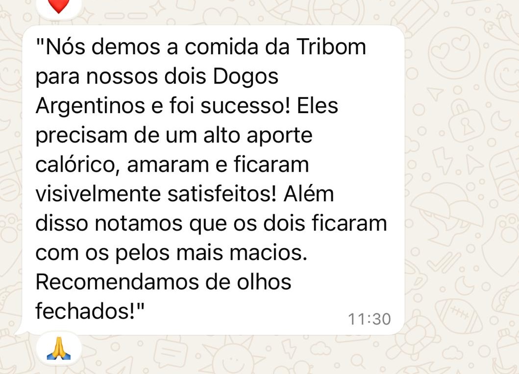 Screenshot do WhatsApp